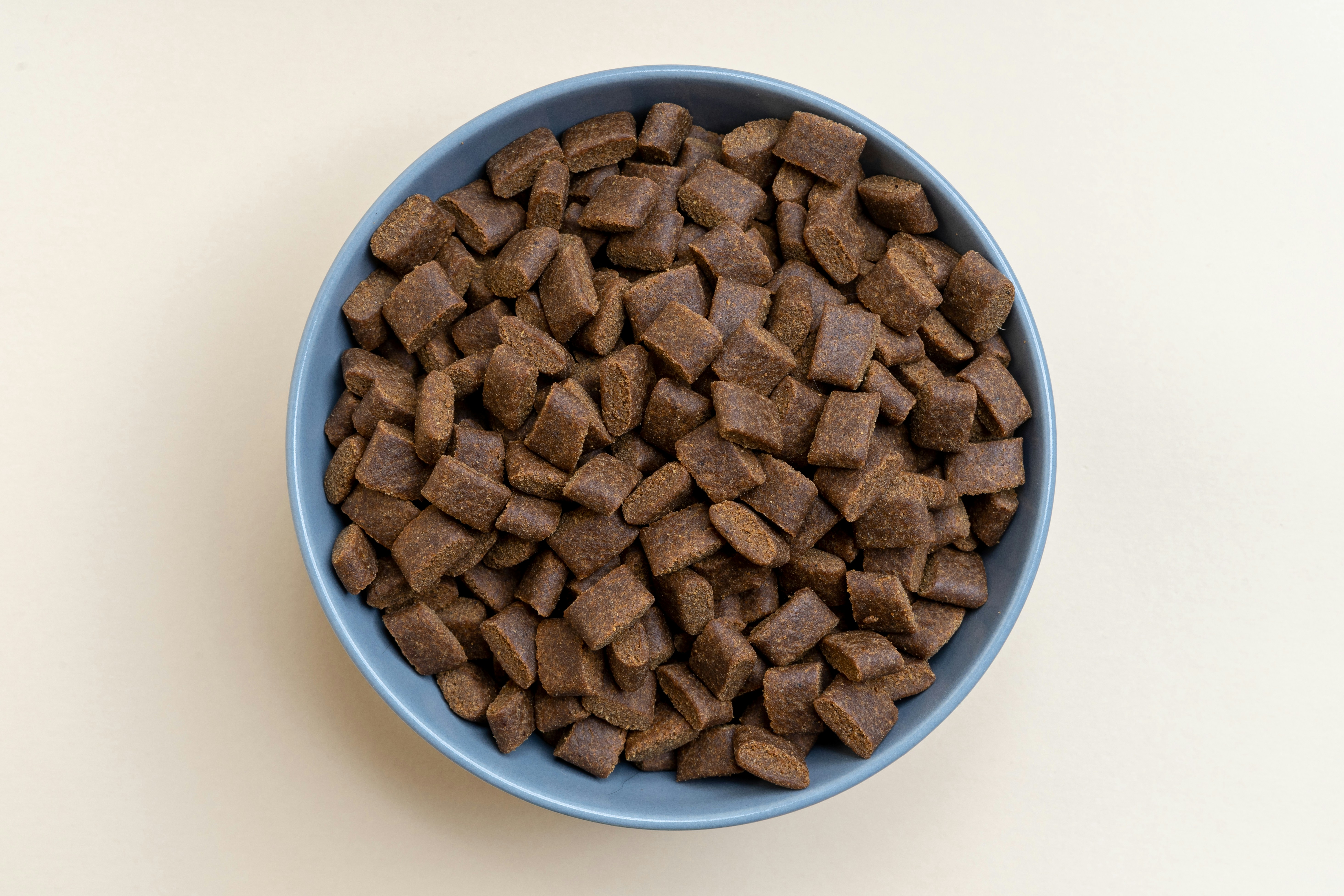 Blue Buffalo vs Purina Pro Plan: Honest Comparison