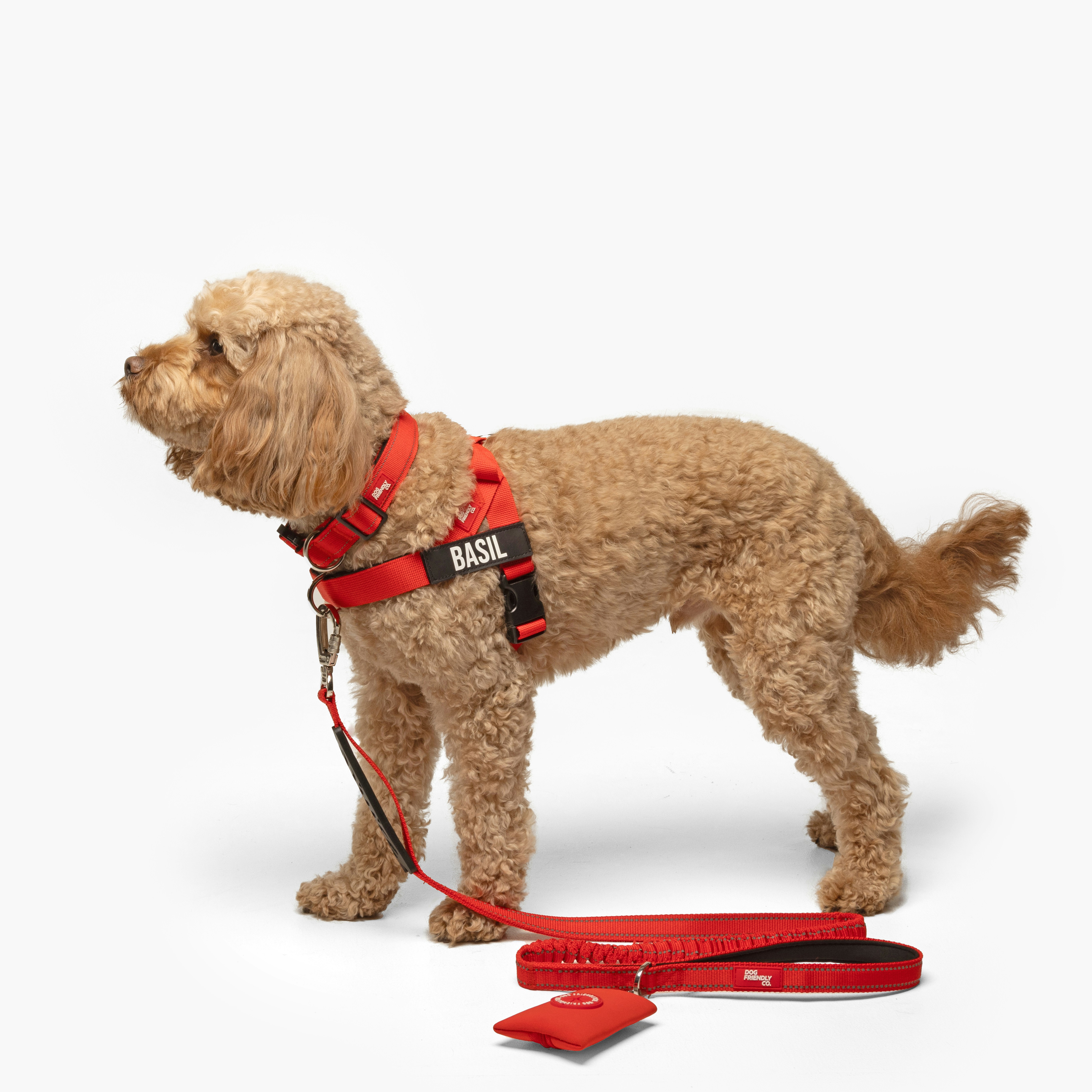 Dog harness
