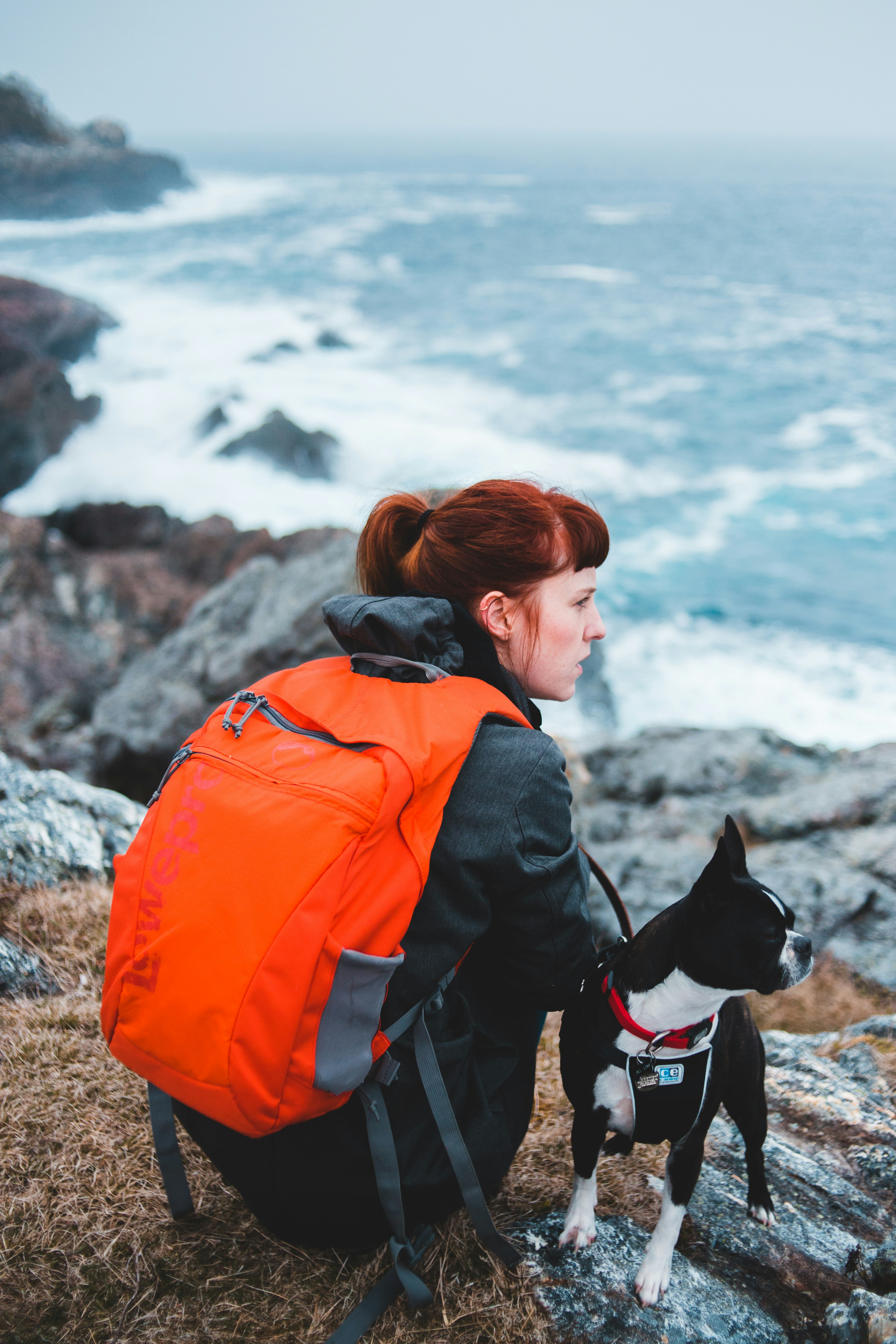 Woman adventuring with her dog on ocean cliffs - BabyMyDog helps you find the best for your pup